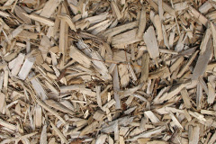 biomass boilers Ystradowen